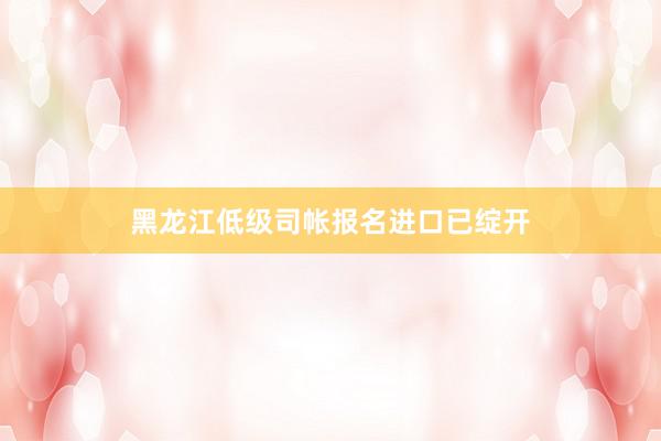 黑龙江低级司帐报名进口已绽开