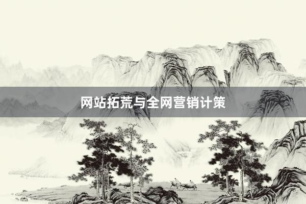 网站拓荒与全网营销计策