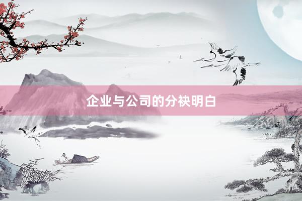 企业与公司的分袂明白
