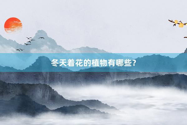 冬天着花的植物有哪些？