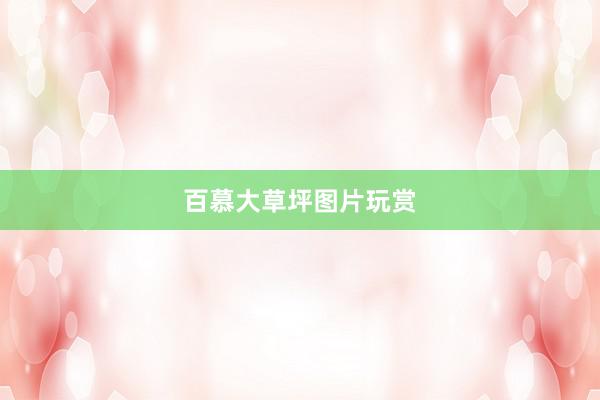 百慕大草坪图片玩赏