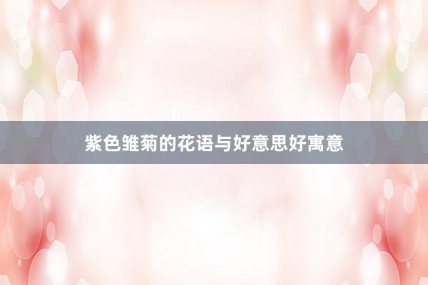 紫色雏菊的花语与好意思好寓意